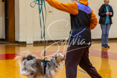 26-3-15-Scent-Work-223