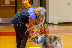 26-3-15-Scent-Work-225