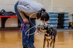 26-3-15-Scent-Work-234