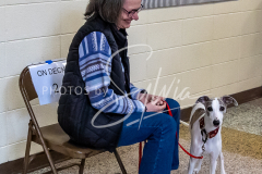 26-3-15-Scent-Work-24