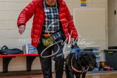 26-3-15-Scent-Work-247