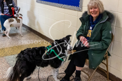 26-3-15-Scent-Work-25