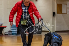 26-3-15-Scent-Work-251