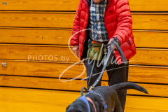 26-3-15-Scent-Work-262