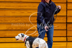 26-3-15-Scent-Work-27