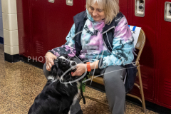 26-3-15-Scent-Work-275