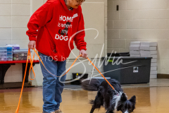 26-3-15-Scent-Work-294