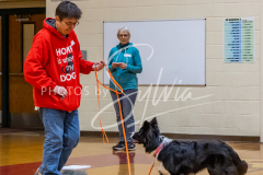 26-3-15-Scent-Work-301