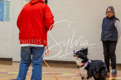 26-3-15-Scent-Work-310