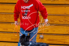 26-3-15-Scent-Work-318