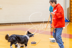 26-3-15-Scent-Work-335