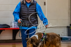 26-3-15-Scent-Work-338