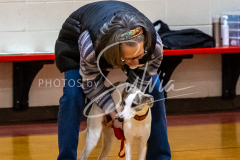 26-3-15-Scent-Work-34