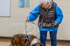 26-3-15-Scent-Work-343