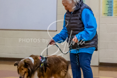 26-3-15-Scent-Work-349