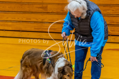 26-3-15-Scent-Work-352