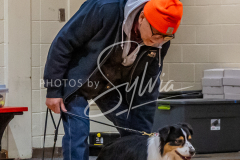 26-3-15-Scent-Work-360