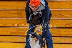 26-3-15-Scent-Work-376