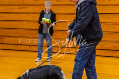 26-3-15-Scent-Work-382