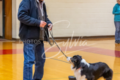 26-3-15-Scent-Work-386