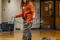 26-3-15-Scent-Work-398