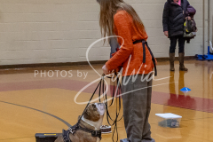 26-3-15-Scent-Work-413