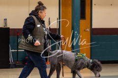 26-3-15-Scent-Work-424