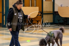 26-3-15-Scent-Work-431