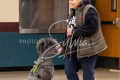 26-3-15-Scent-Work-441