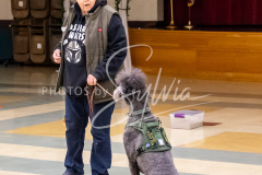 26-3-15-Scent-Work-447