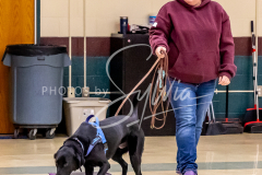 26-3-15-Scent-Work-453