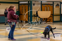 26-3-15-Scent-Work-462