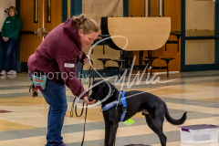 26-3-15-Scent-Work-463