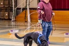 26-3-15-Scent-Work-476