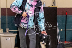 26-3-15-Scent-Work-482