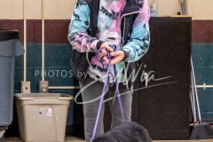 26-3-15-Scent-Work-484