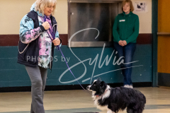 26-3-15-Scent-Work-490