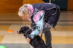 26-3-15-Scent-Work-493