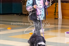 26-3-15-Scent-Work-502