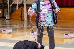 26-3-15-Scent-Work-505