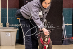 26-3-15-Scent-Work-512