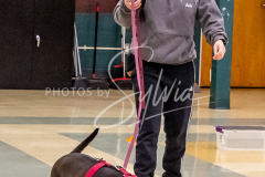 26-3-15-Scent-Work-514