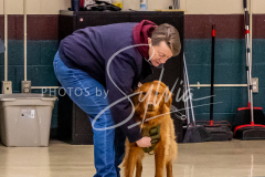 26-3-15-Scent-Work-527