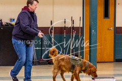 26-3-15-Scent-Work-529