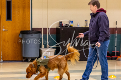 26-3-15-Scent-Work-540