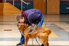 26-3-15-Scent-Work-547