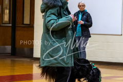 26-3-15-Scent-Work-59