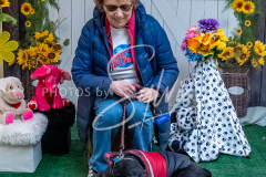 26-3-15-Scent-Work-623