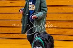 26-3-15-Scent-Work-63