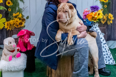 26-3-15-Scent-Work-669